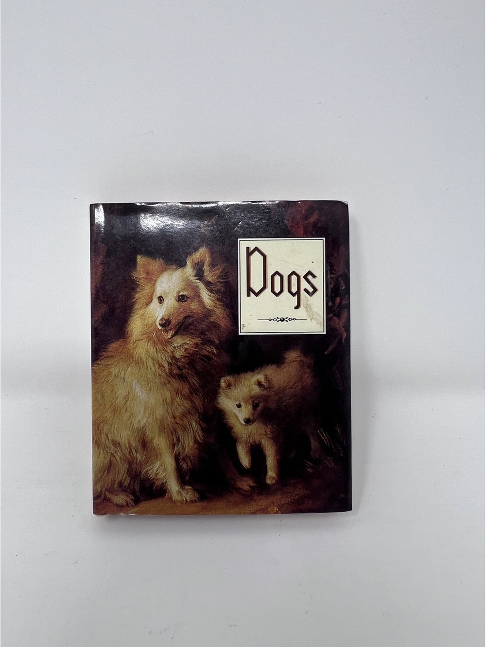 Dogs by Armand Eisen Hardcover Book 1992